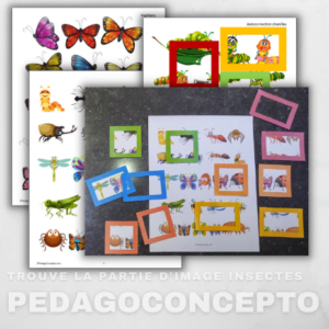 Trouve la partie d'image insectes