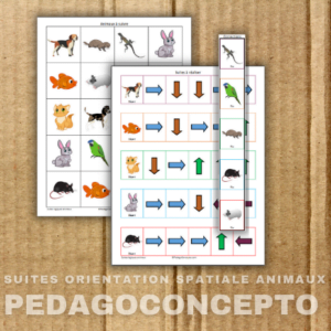 Suites orientation spatiale animaux