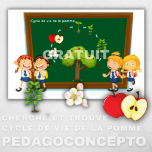 Cherche et trouve — Cycle de vie de la pomme
