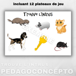 Trouve l’intrus