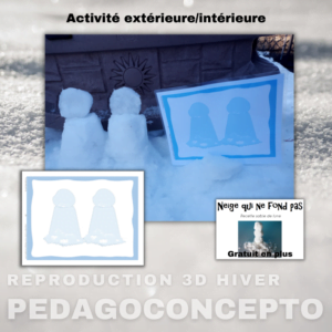 Reproduction 3D hiver