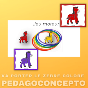 Va porter le zèbre coloré