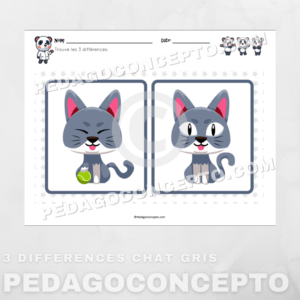 3 différences chat gris