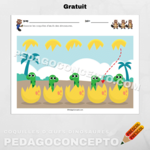 Coquilles œufs dinosaures