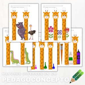 Mesures diverses en cm