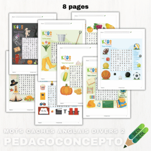 Mots cachés anglais divers 2