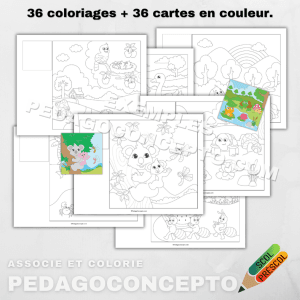Associe et colorie 