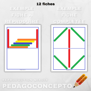 Reproduction miroir